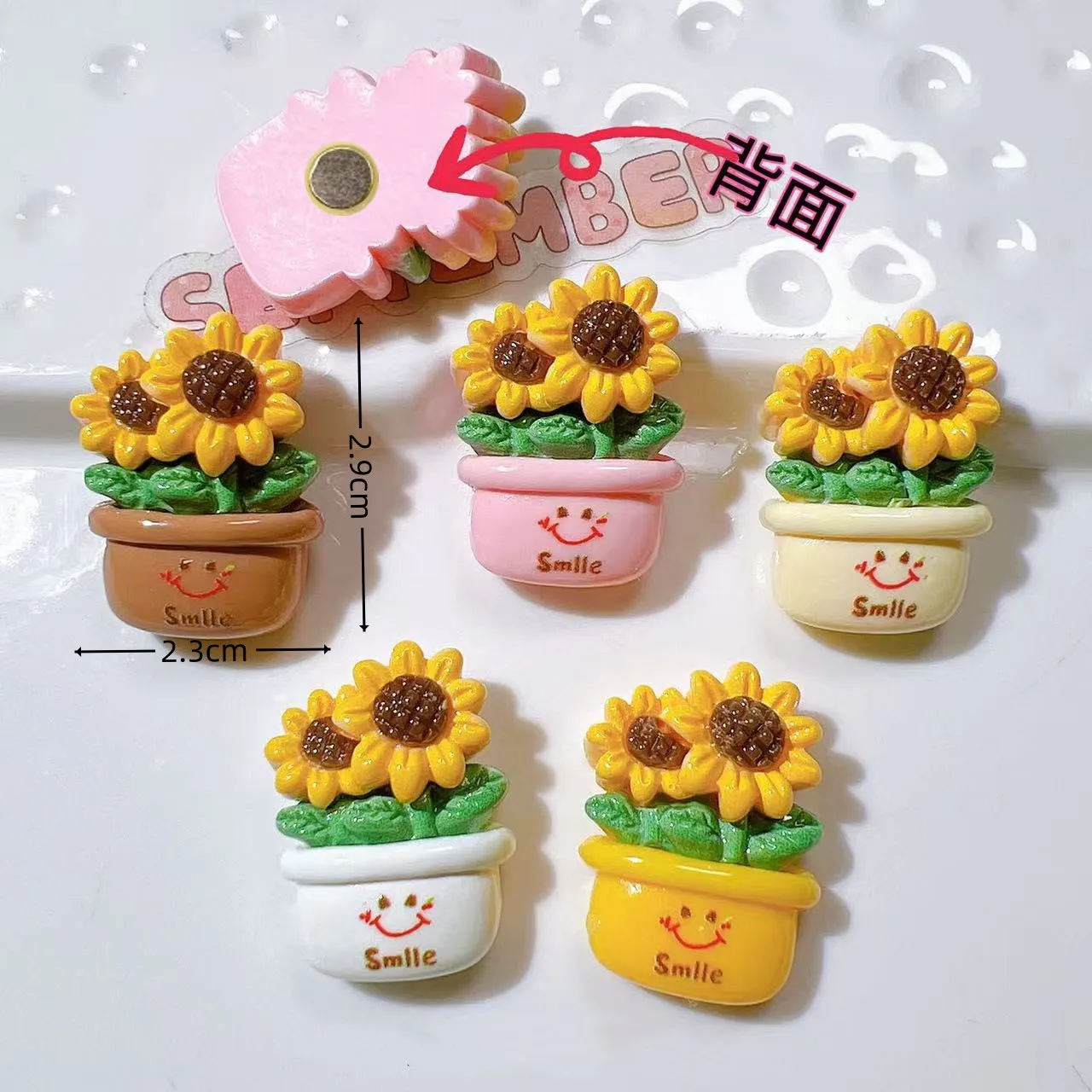 dsc-products