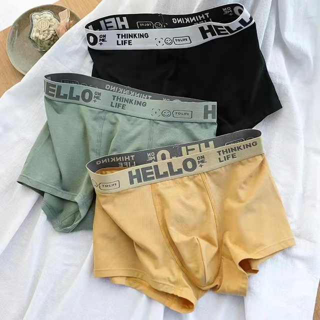 6pcs Men Underwear Cotton Sexy Men's Boxer Shorts Panties Breathable U  Convex Underpants Male Plus Size - AliExpress