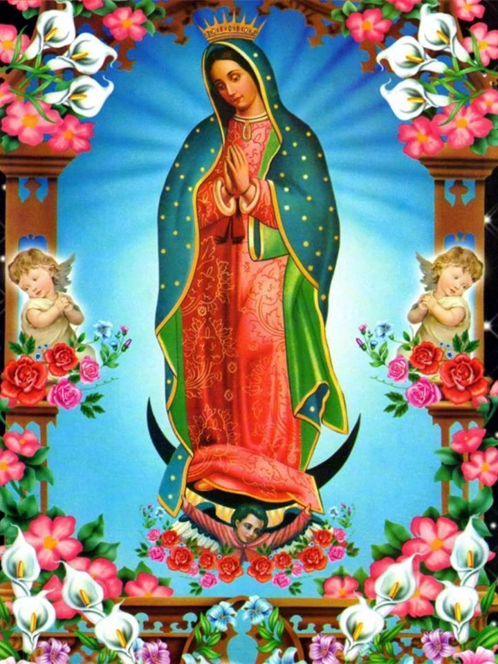 DIY 5D Diamond Painting Kits for Adults Full Drill Diamond Painting Virgin  Our Lady of Guadalupe Half Body Portrait Religious for Home Wall Decor