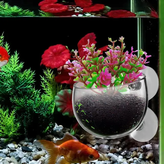 Crystal Glass Aquatic Plant Pot, Aquarium Aquatic Planter, Red Shrimp Live Plants Fish Tank Glass Holder Suction Cups Aquarium Aquascape Decoration 1pc