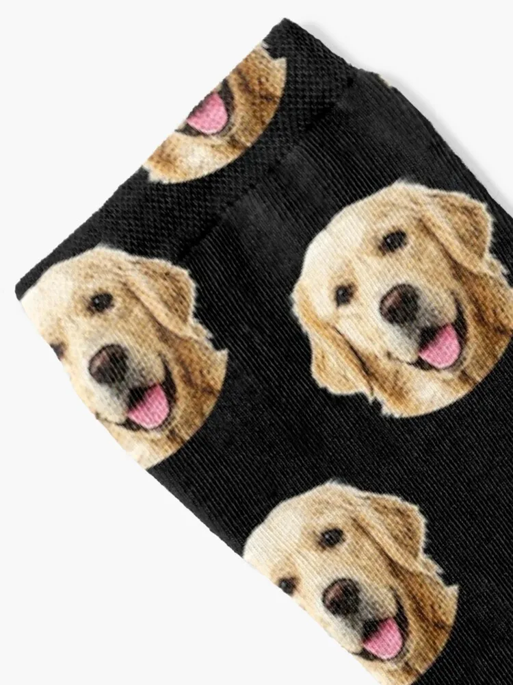 funny golden retriever face portrait cute golden retriever mom Socks stockings for men Stockings compression