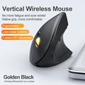 Rechargeable Black