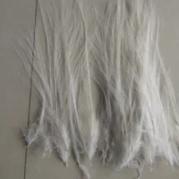 50pcs Natural White Heron Feathers 6-8 inches 2