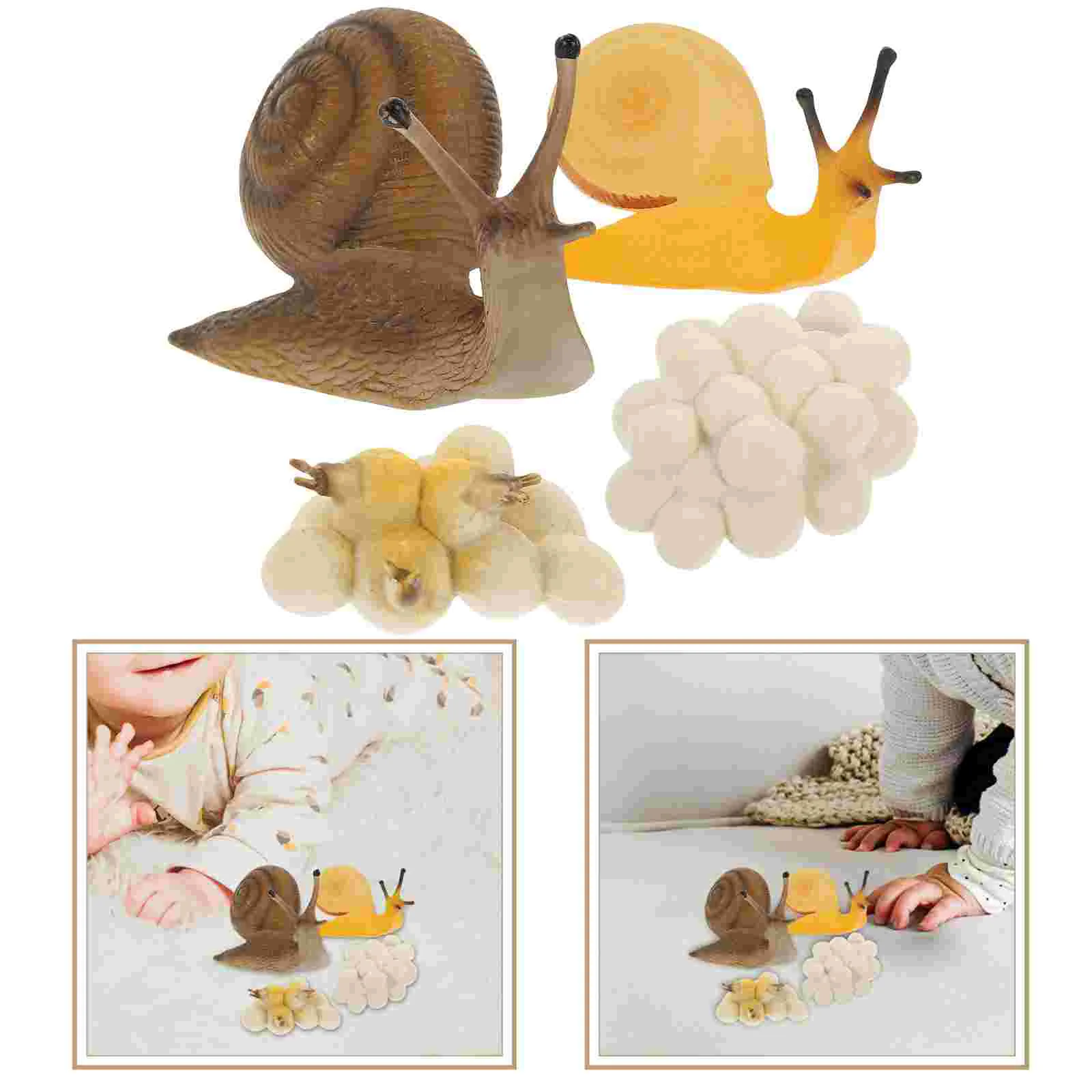 

Educational Toy Snail Growth Cycle Miniature Toys Simulation Figurines