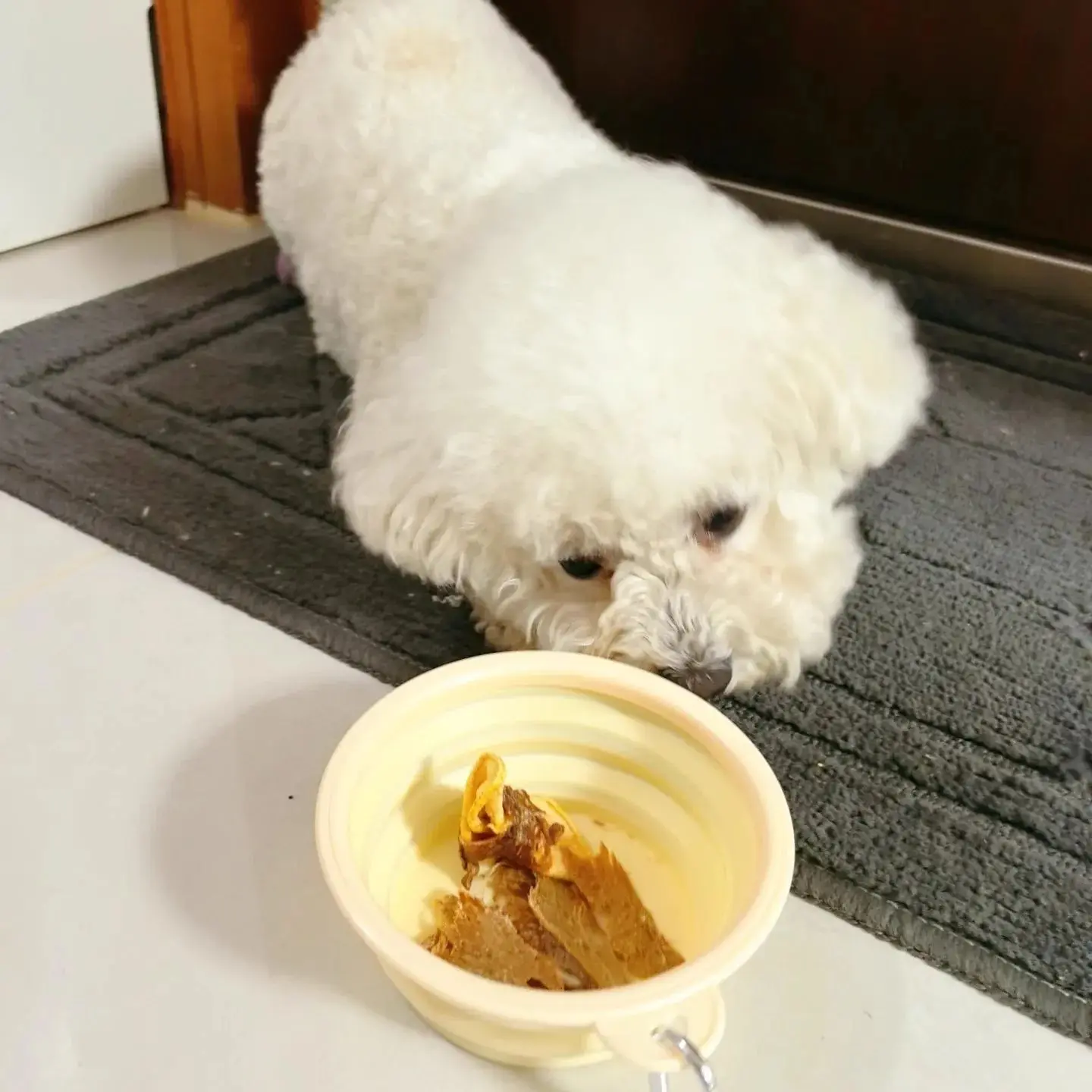 Foldable Travel Dog Bowls Collapsible Silicone Food Water Dish for Cats Outdoor Camping Supplies with Carabiner Dog Feeders Foldable Travel Dog Bowls Collapsible Silicone Food Water Dish for Cats Outdoor Camping Supplies with Carabiner Dog Feeders