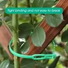 Adjustable Plastic Plant Cable Ties Reusable Self-locking Ties Garden Plant Vine Supports Cable Ties Stem Tomato Clip Fastener 2