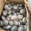 Gemstone Healing Spiritual Crystals Crafts Natural Blue Rose Quartz Crystal Palm Stones For Feng Shui Decor 5