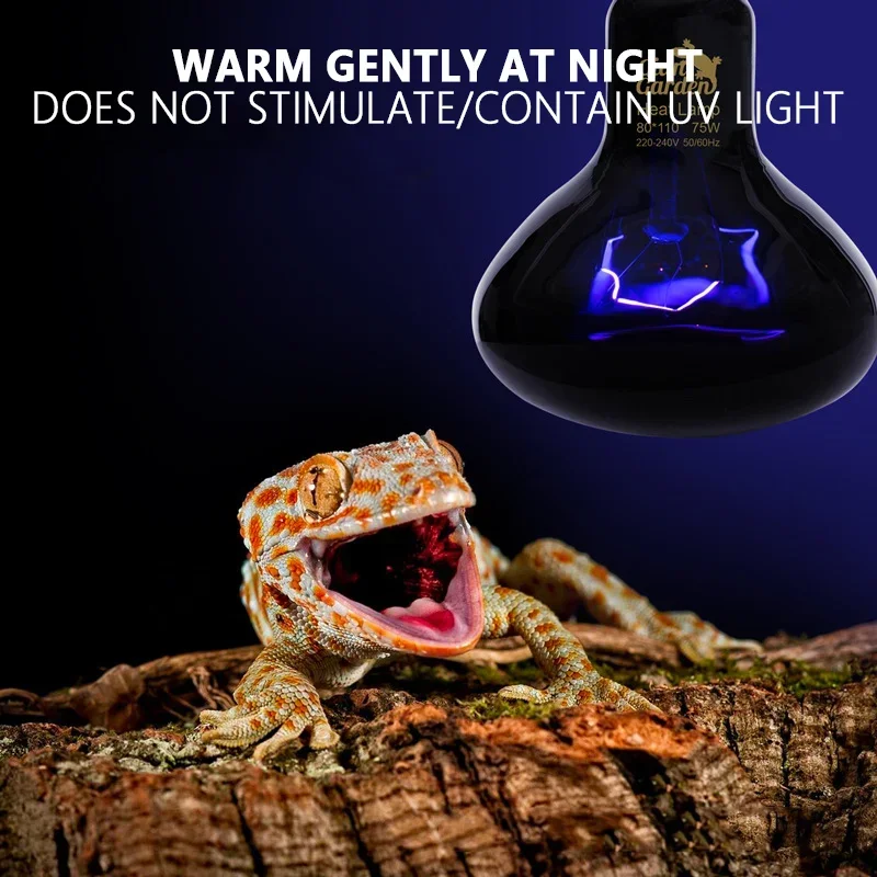 Pet Heating Lamp Lizards Snakes Reptiles Lamp Reptile Night Snake Heat Light Heat Bulb Feeding Box Supplies 25W 50W 75W 100W