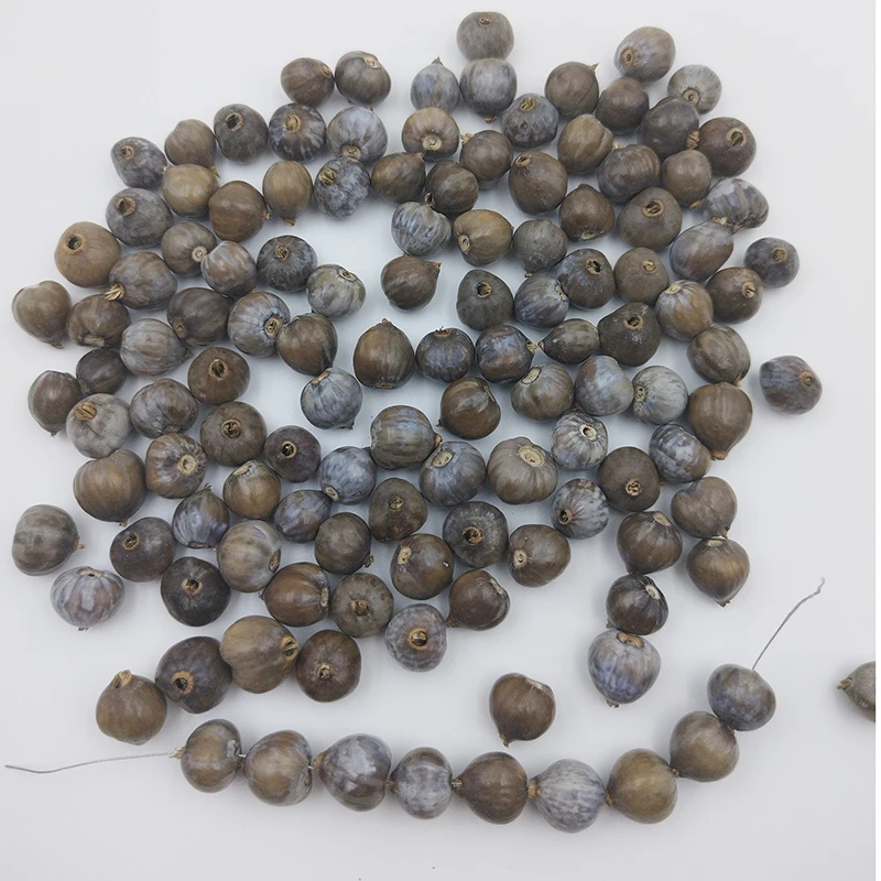 50PCS 10MM Natural Planting Grass Beads Grass Bodhi Seeds DIY Jewelry String Buddha Beads Door Curtain Woven Pendant Beads