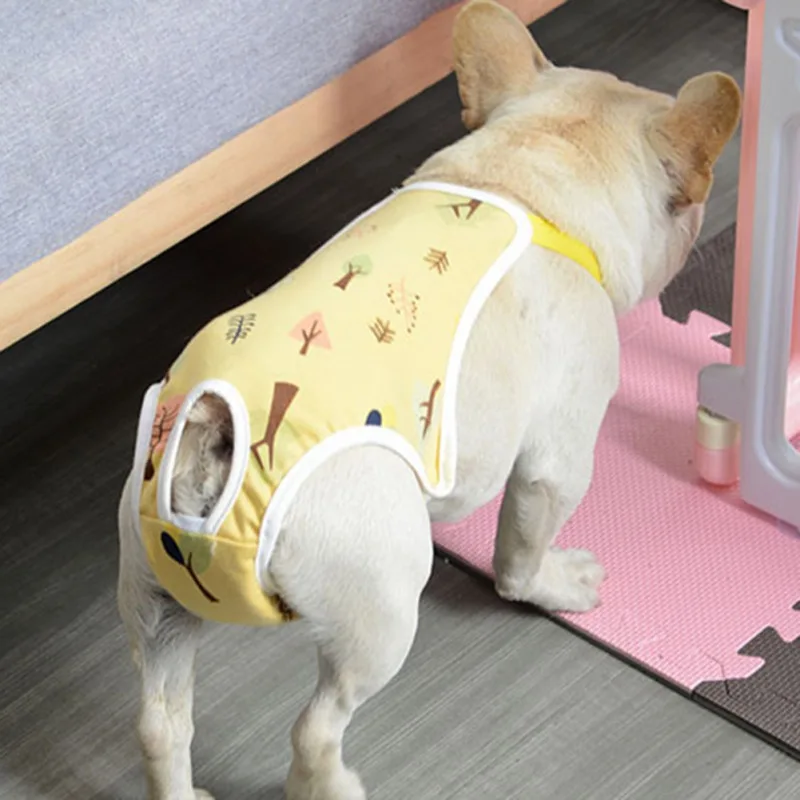 여성용 강아지 반바지 기저귀 멜빵, 생리 바지, 세탁 가능한 속옷, 위생 팬티, 프렌치 불독, 소형견