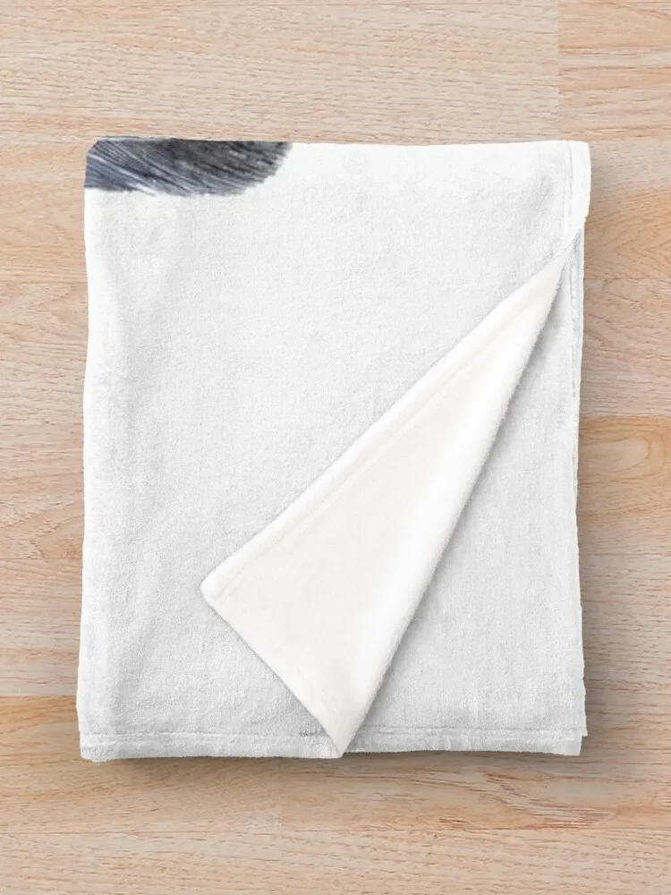 ���� �帲ĳó ������ ���, ħ�� ���� ���� ����, ���� �ö��� ���