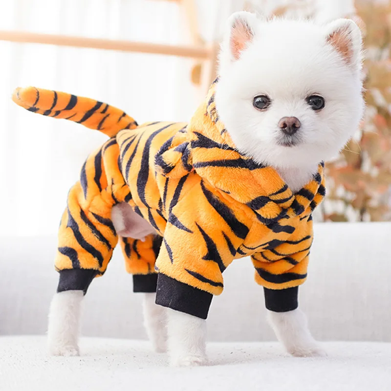 nice dog clothes