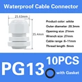 PG13-white