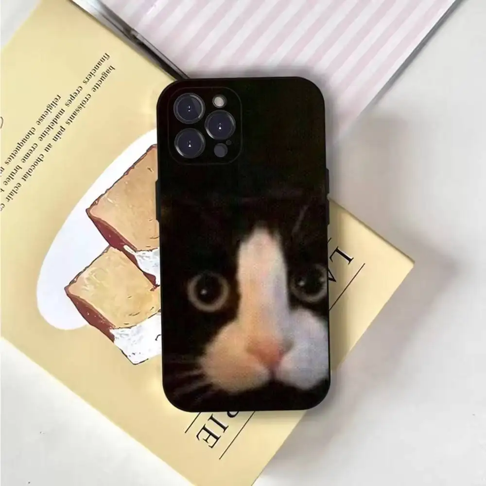 Funny Animal Cat Phone Case For iPhone 17 16 15 11 12 thumbnail 8