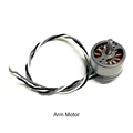 Arm Motor