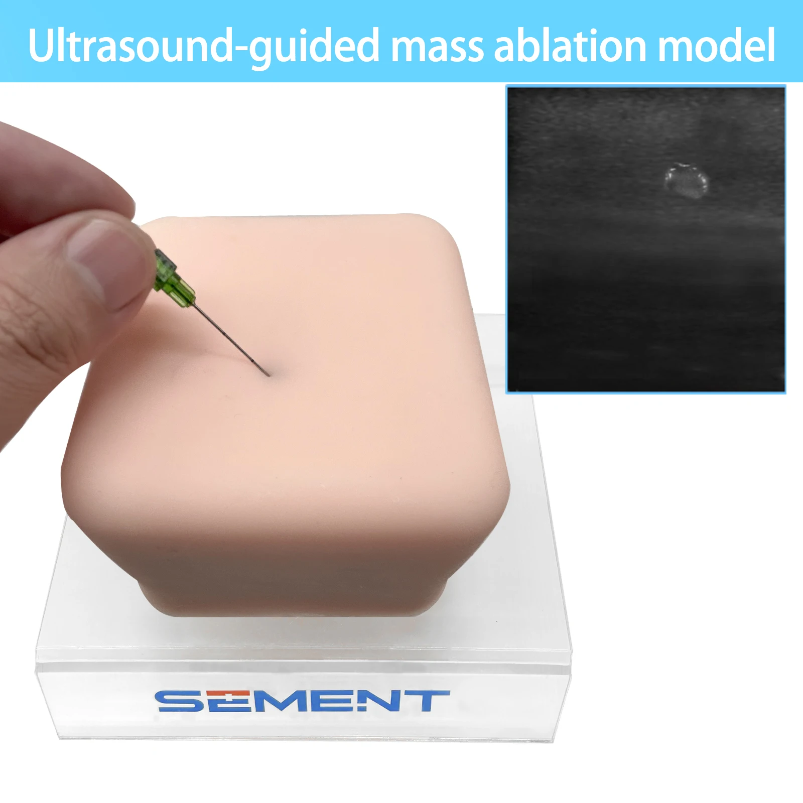 Ultrasound guided tumor ablation therapy phantom medical simulater ultrasound intervenion training teaching
