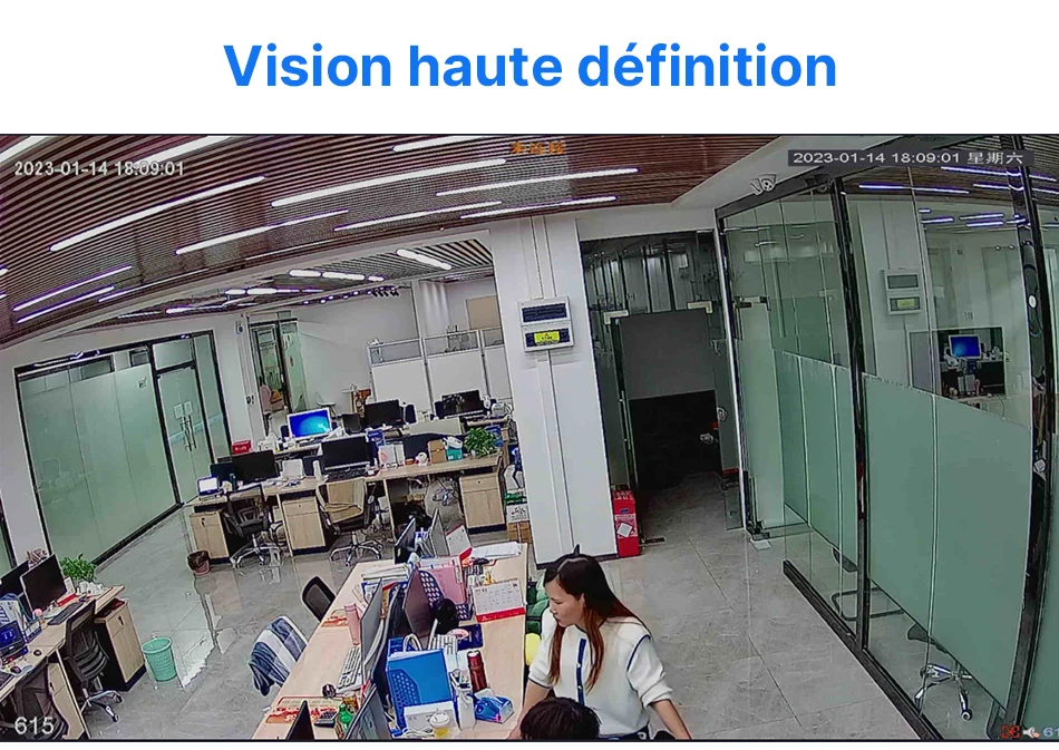 Hiseeu 5MP CCTV 10CH 4K NVR POE ONVIF Kit Caméra IP Camera Voiture Vigilância De Recul Security Protection Appareille Photo De Video Surveillance Maison pour La Maison Extérieure Camara Exterior