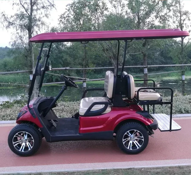 Electric Golf Cart Transaxle Offroad Medical Classic Golf Car 2 Person -  AliExpress