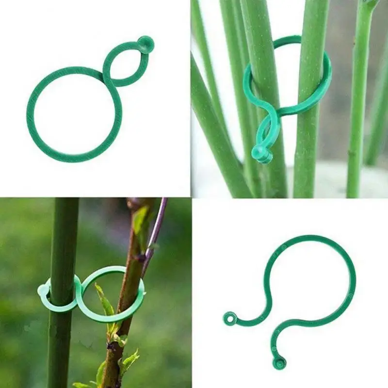 

Garden Plant Clips For Vegetable Growing Upright Plant Holder Green Plastic Bundled Ring Garden Stand Tool Vine Support