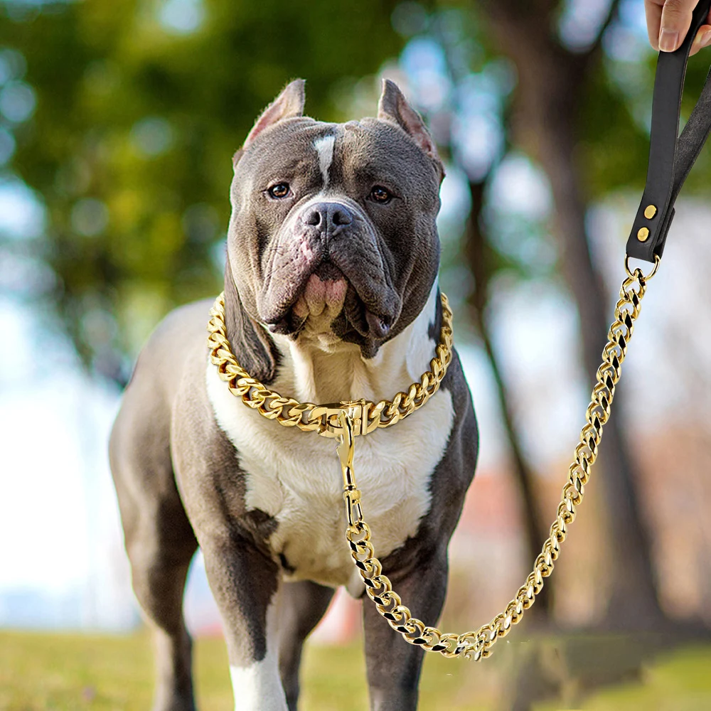 

Stainless Steel Pet Dog Collar Leash Gold Chain High Quality Trainning Large Dog Lead Bulldog Pitbull Collar 19mm Pet Supplies