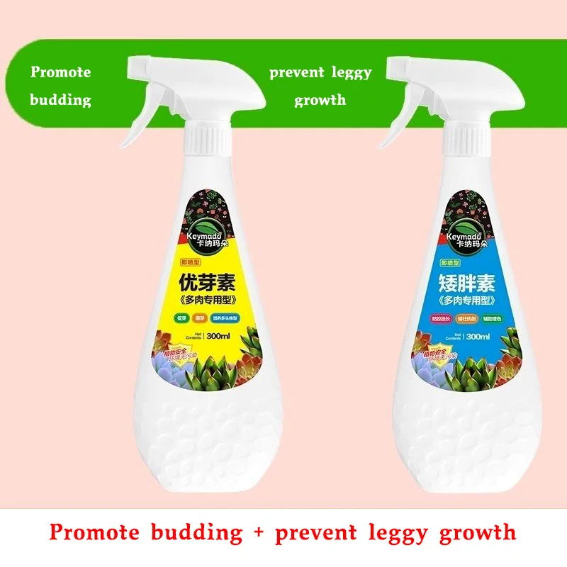 Рисунок 3 - Растение-суккулент Eugenin стимулирует Пробуждение