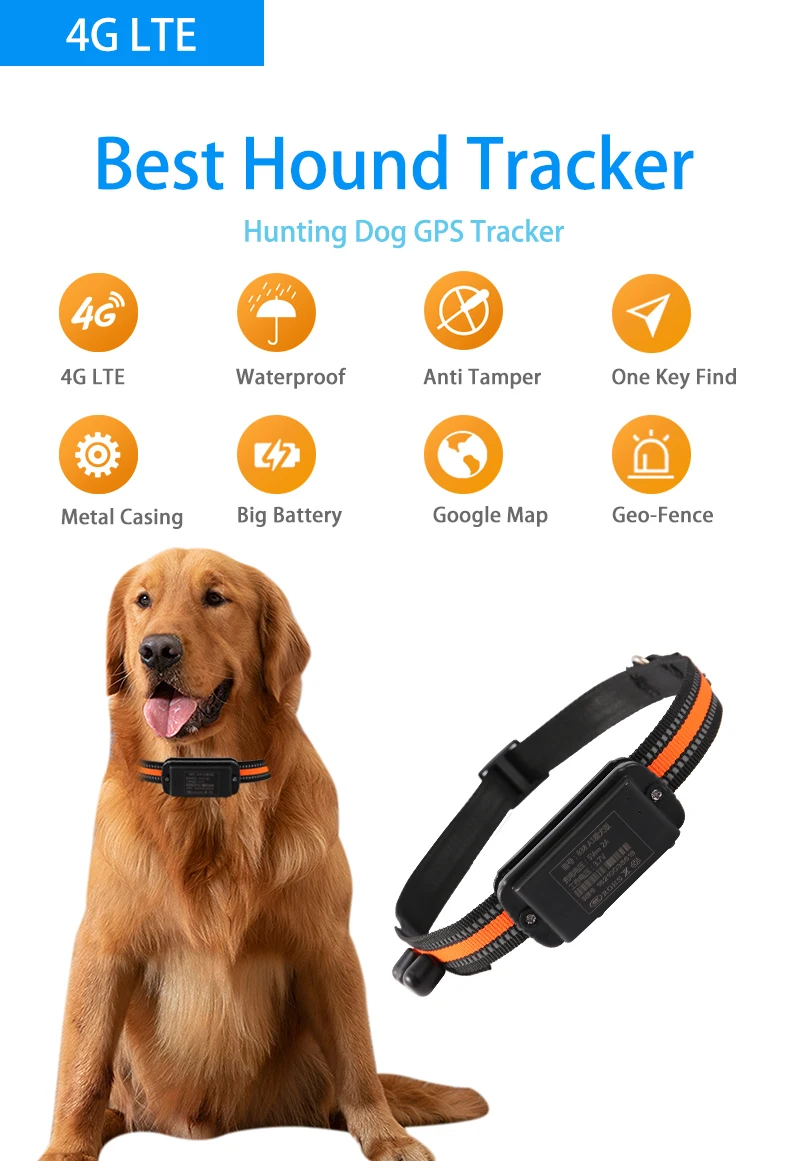 hunting dog best remote collars for dogs