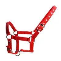 Adjustable Nylon Webbing Equestrian Western Horse Halter Horse Riding Wear Black L 1