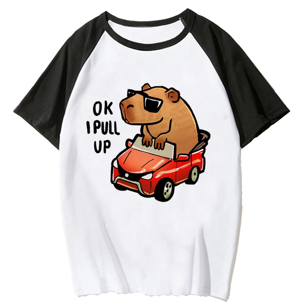 

Capybara t shirt women streetwear summer comic t-shirts girl funny clothing