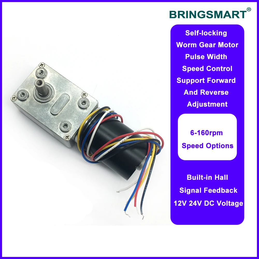 BRINGSMART 12V Worm Gear Motor - Self-Locking Qatar BRINGSMART 12V Worm Gear Motor - Self-Locking Qatar