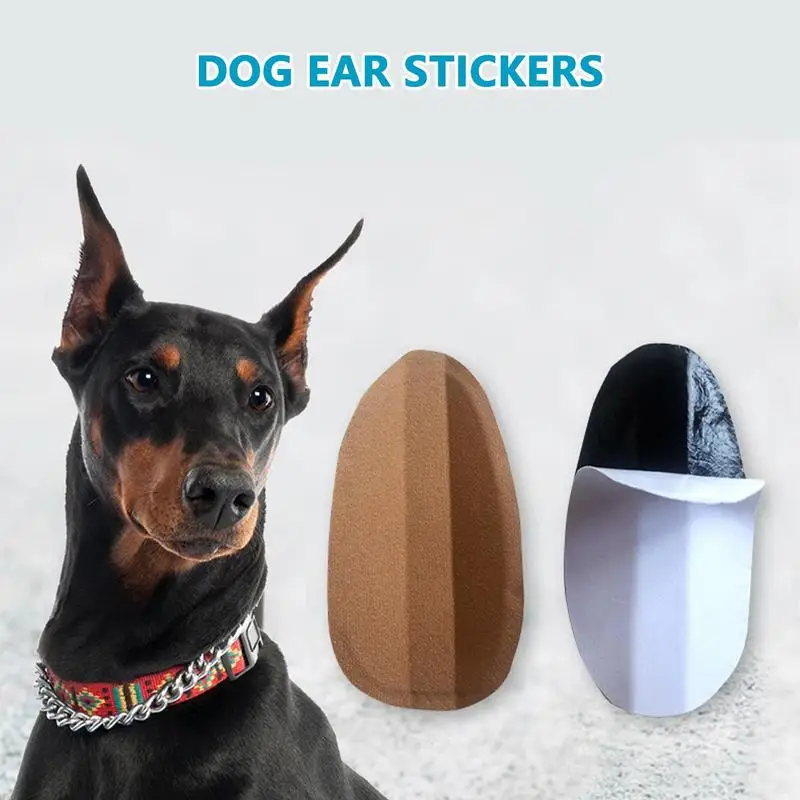 Dog Ear Stand Stickers Dog Supplies Ears Dog Ear Supports Tool Dog Ear Dog Pet Aliexpress