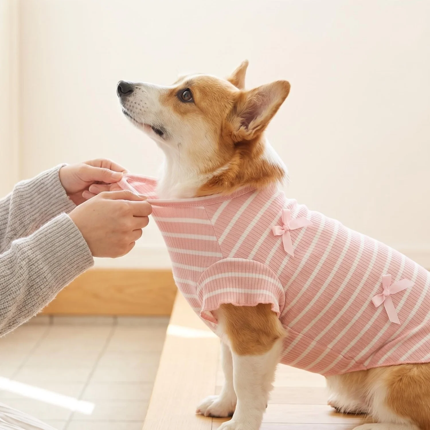 1pc 줄무늬 리본 애완 동물 티셔츠 개 고양이 부드러운 옷 봄 여름 작은 애완 동물을위한 통기성 의류
