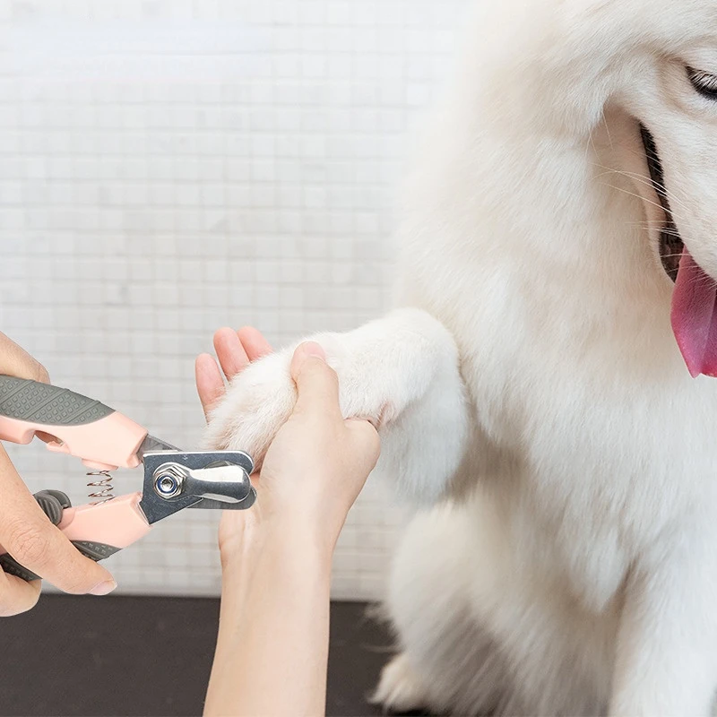 Рисунок 6 - Профессиональные кусачки для ногтей для собак