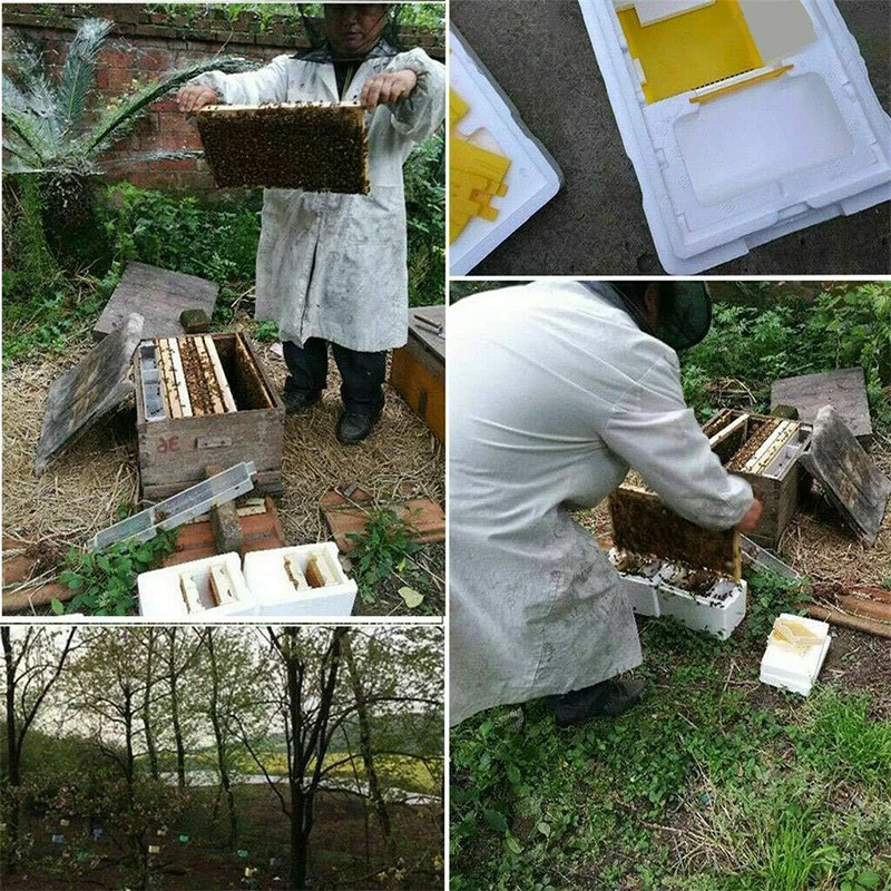 1 Set Queen Bee Rearing Mating Beehive Beekeeping Tools Foam Beehives Nuc Harvest Pollination BeesHive Box Beekeeper Suppliers beekeeping tools