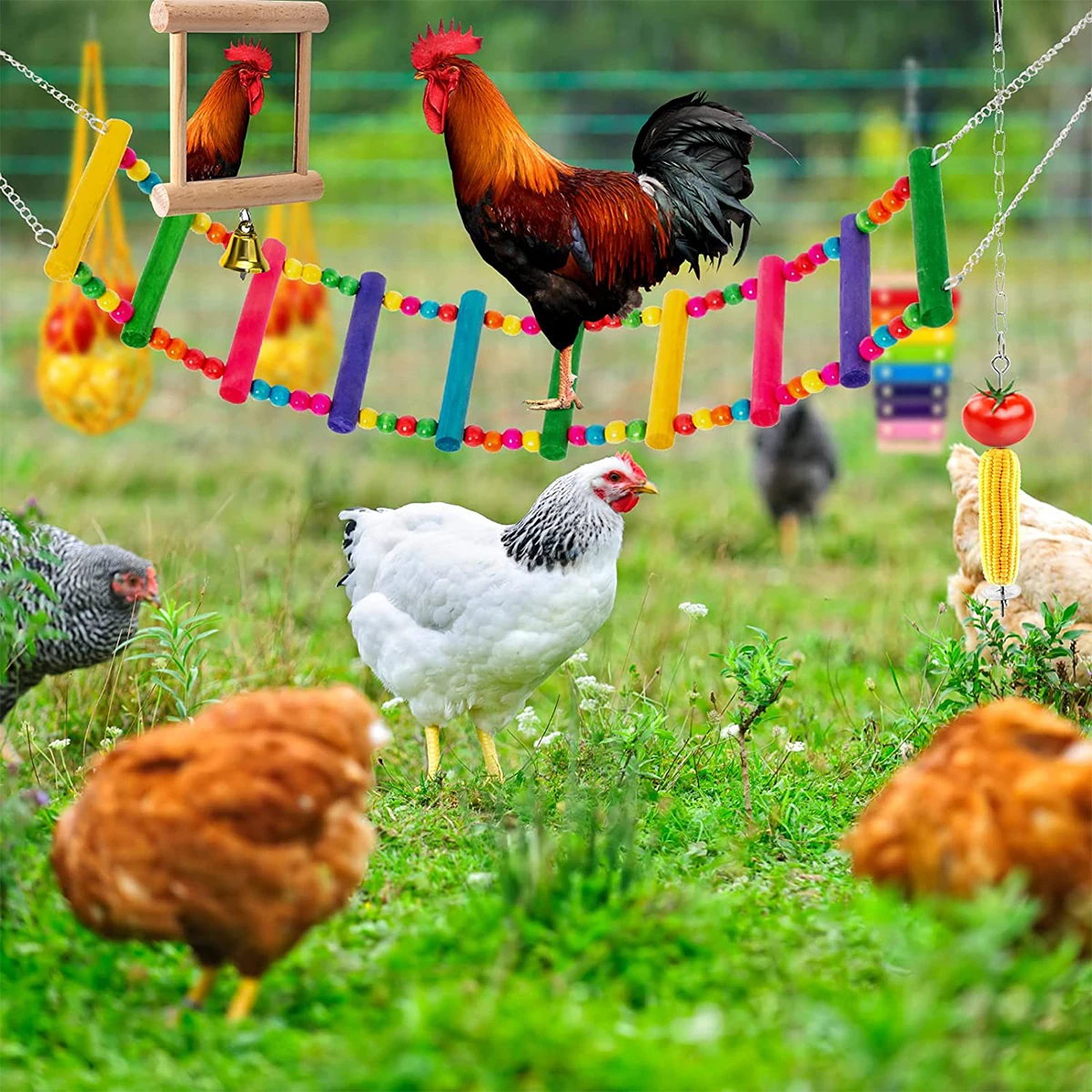 1/6Pcs Chicken Toys Set Chewing Foraging Toys with Wooden Swing Fruit Vegetable Hanging Feeder Xylophone Mirror Bell Ladder Toys 6