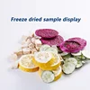 4-6kg/Batch Vacuum Fruit Freeze Drying Dried Machines For Candy Mini Vegetables Lyophilizer Food Freezer Dryer 5trays 5
