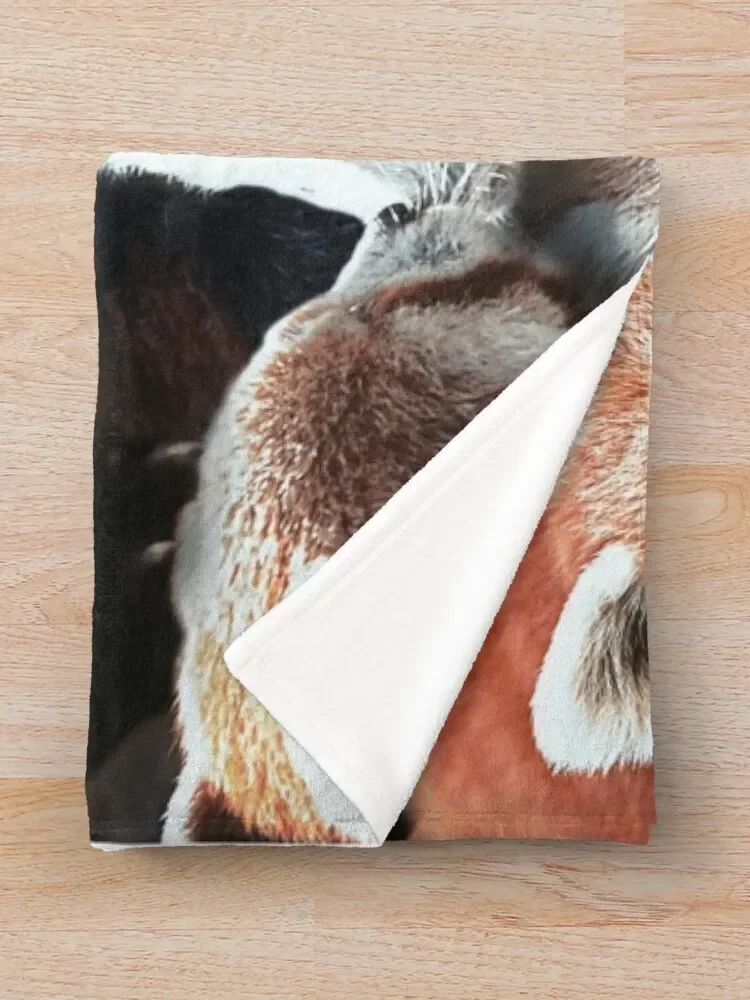 ���Ŀ� ���� �Ǵ� ������ ���, ǫ���� ���, �Ϳ��� ���� ���� ���