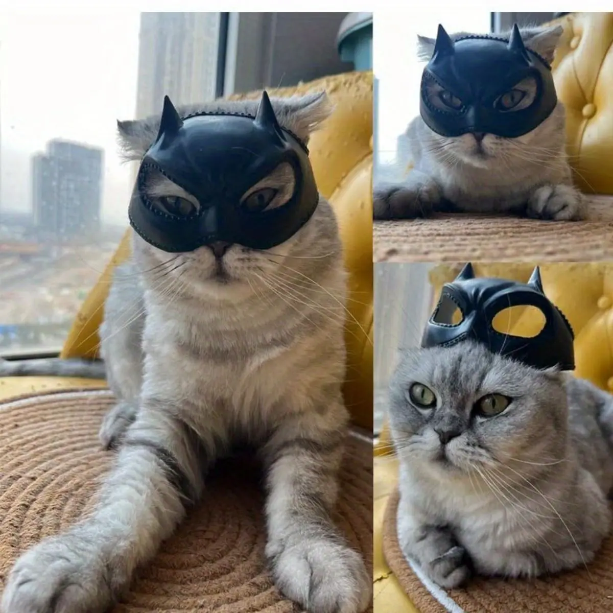 قناع الخفافيش للقطط، غطاء رأس للعب الأدوار، مادة اللاتكس، إكسسوار أزياء للحيوانات الأليفة الناعمة والشكل، قطة غريبة الأطوار ورائعة
