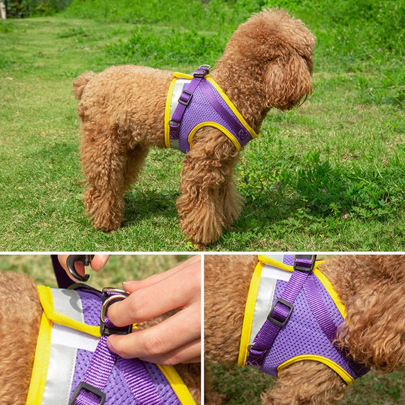 Reflective Pet Vest Harness Set 4