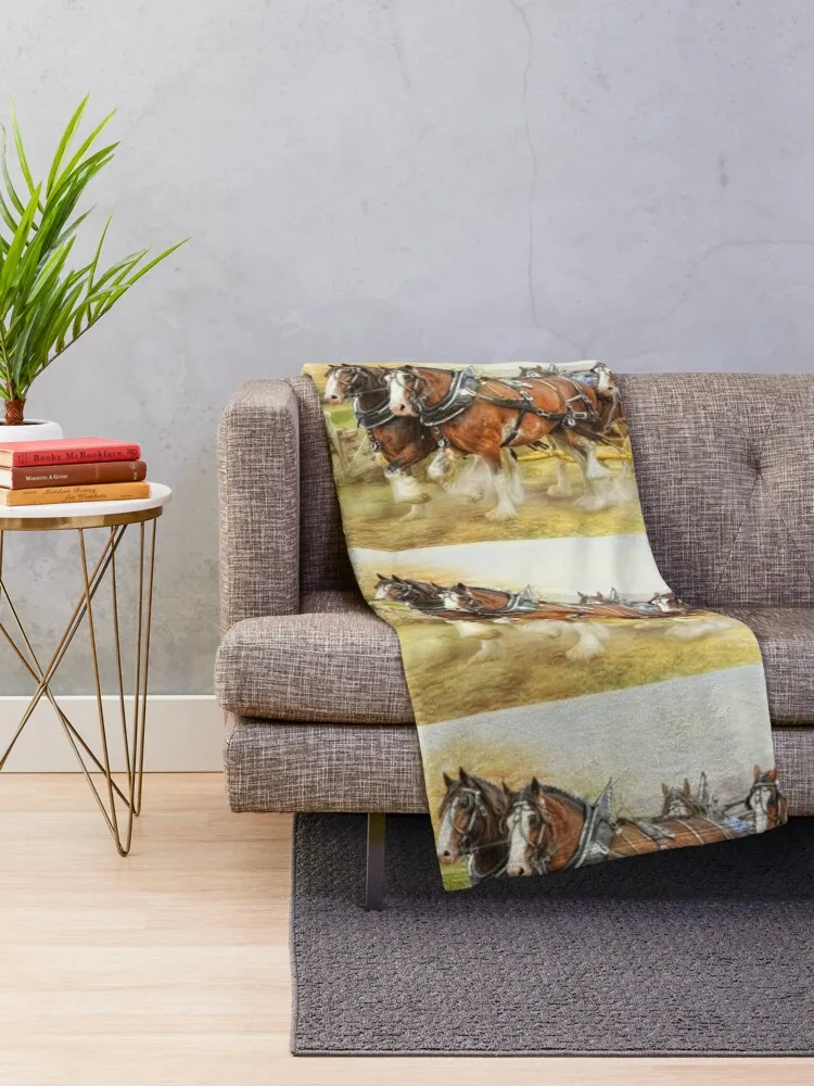 Clydesdales �ϳ׽� ������ ���, ǫ���ϰ� ǫ���� �� ��� �� ���, ���Ÿ� �β��� ���