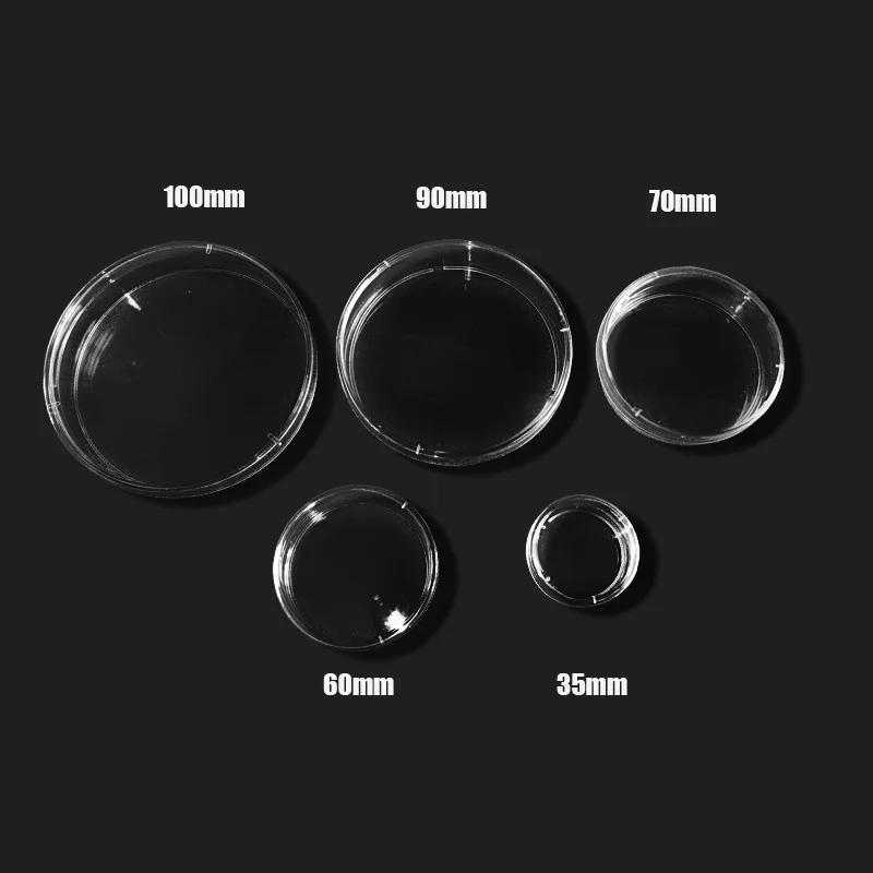 플라스틱 멸균 페트리 접시, 박테리아 배양 접시, 뚜껑 70mm, 실험실 생물 과학 학교 용품, 10 개
