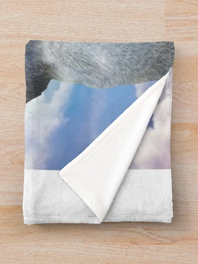 �϶��� ������ ���, ���� �м� ����, �Ŵ��� ���� ���