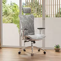 M57 Ergonomic Office Chair with 3 Way Armrests Lumbar Support and Adjustable Headrest High Back Tilt Function Light Grey 2
