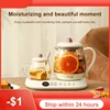 2024 Good New 1/0.25L Multi functional High Boron Heat Water Coffee Tea Timed Pot Electric Kettle Double Pot Home Office Gift 1