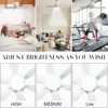 LED Ceiling Fan Light Bedroom Living Room Flower Colorful Six Blade Rotating White Lights Led Lustre 6