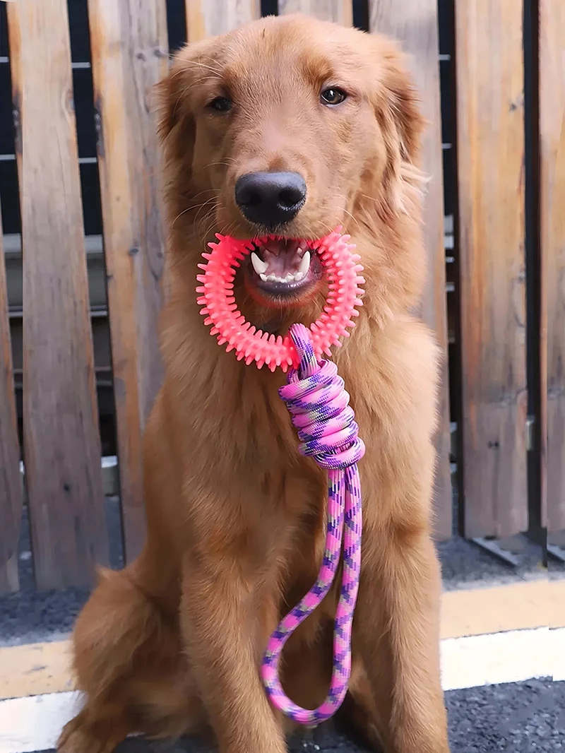 Dog Toys Chew Toys for Dogs Interactive Training Pet Toy  Ring Spiked Ring Dog Teeth Cleaning Pet Supplies 5