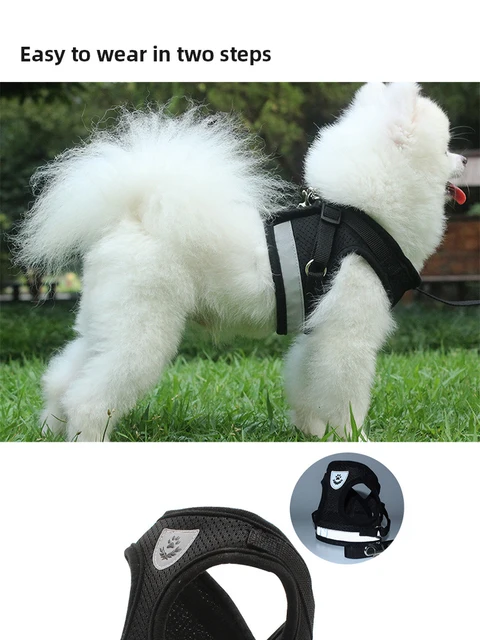 Pet Dog Tshirt Leash Leash Under Vest Harnesses Mesh Breathable Adjustable Easy Control Reflective Undershirt Dog Harness Collar 6
