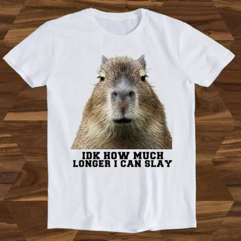 

Idk How Much Longer Opossum I Can Slay Capybara Sarcastic Dank Joke Parody Hilarious Movie Meme Funny Gift Tee T-Shirt T1066
