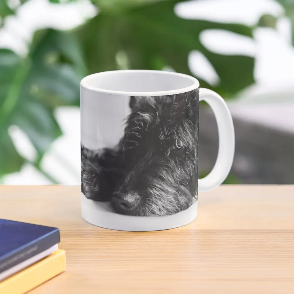

Sleepy Labradoodle Coffee Mug Cups Ands Tea Cups Thermal Cups For Mug