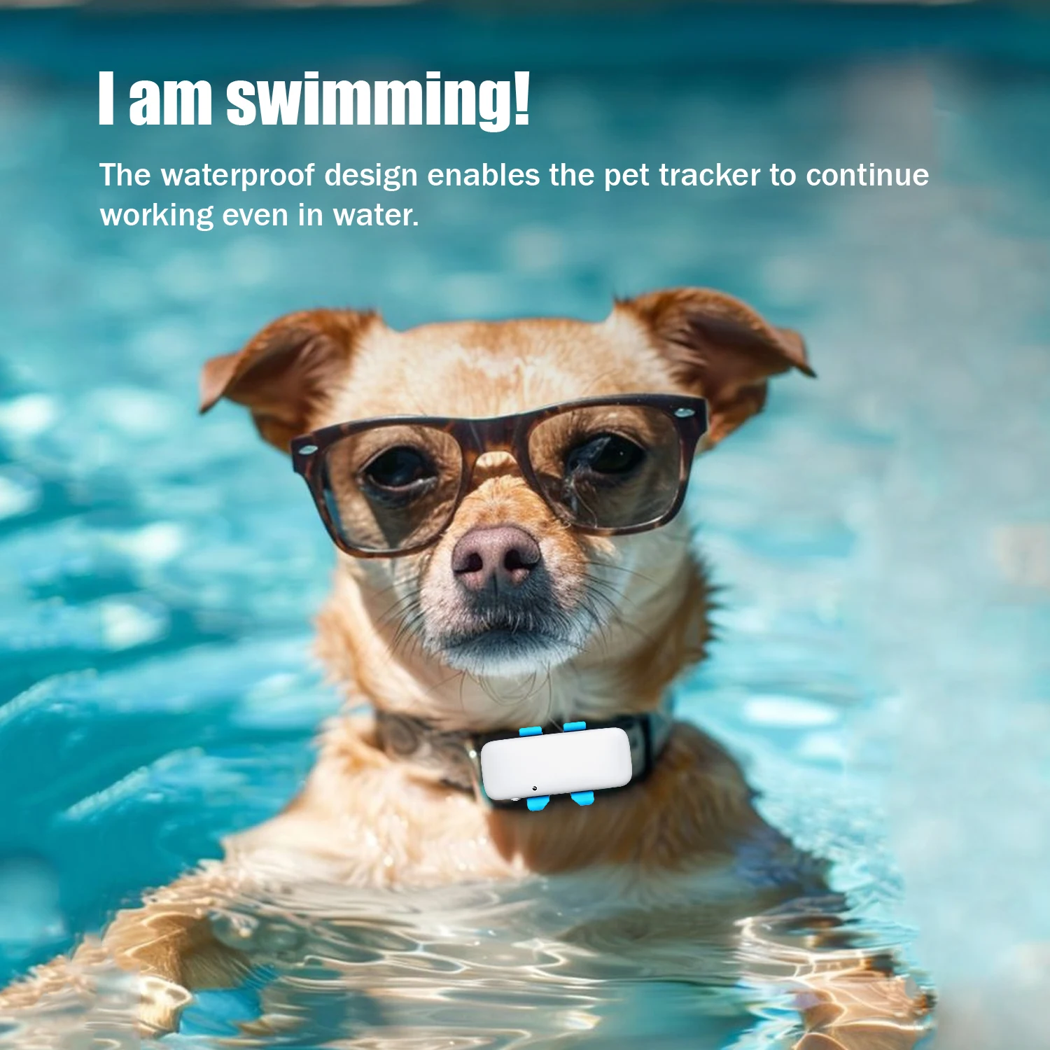 Global Pet Tracker smart tracker