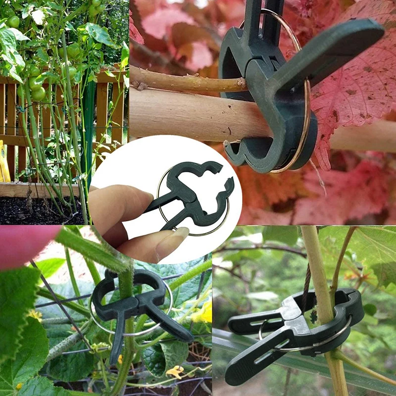10/20PCS Reusable Plant Fixed Clips Greenhouse Bracket Fastener Clamp For Fixing Vine Flower Vegetables Stems Garden Supplies
